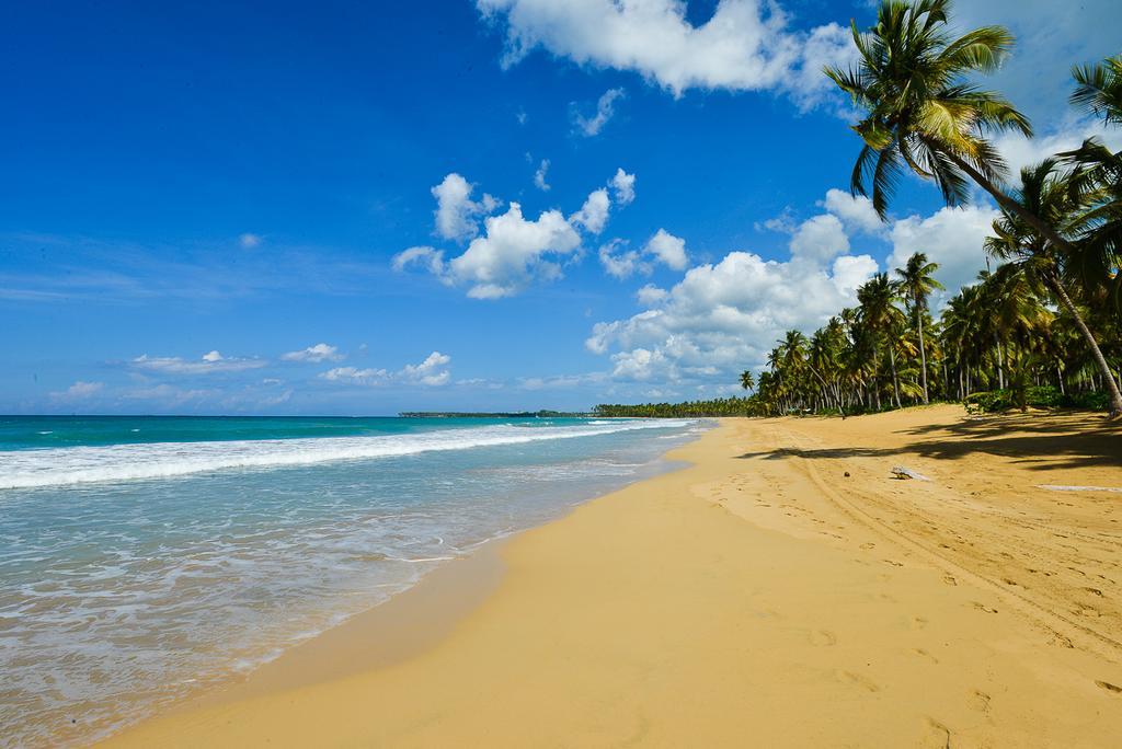 Aligio Beachfront Paradise Las Terrenas Eksteriør billede